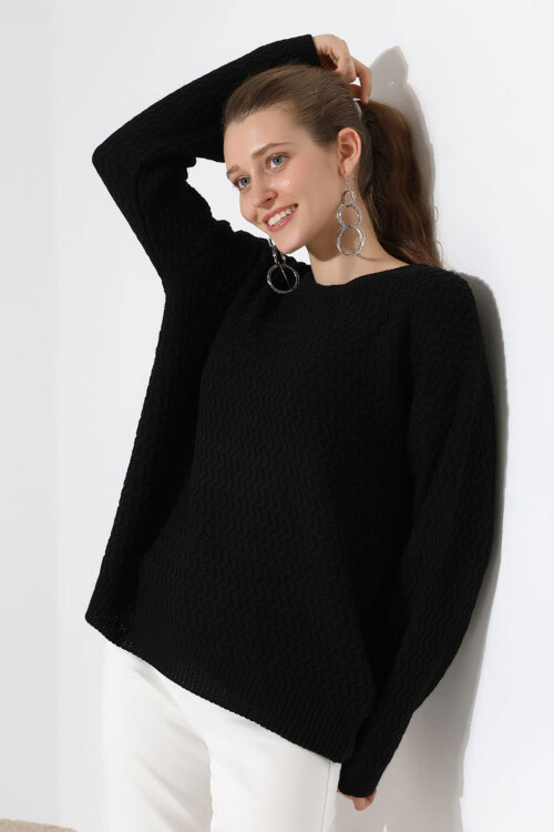 Siyah Bisiklet Yaka Su Yolu Desenli Triko Kazak BCES-252008