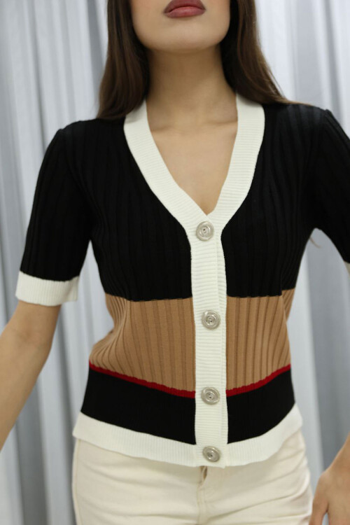 Siyah V Yaka Renk Bloklu Düğmeli Triko Bluz BCES-252013