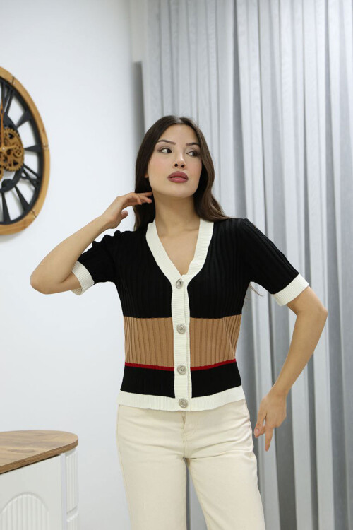 Siyah V Yaka Renk Bloklu Düğmeli Triko Bluz BCES-252013